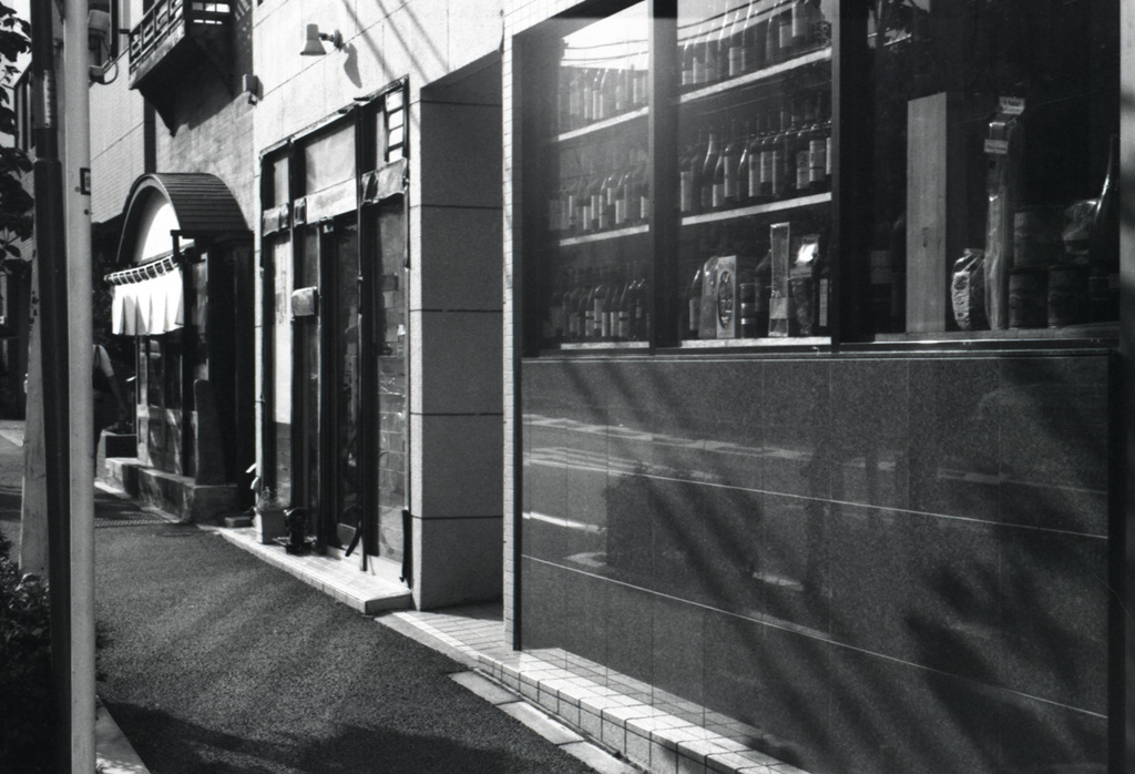 M3 DR Summicron50_F2  efke KB100_img415