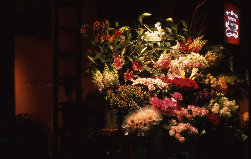 Aria Planar50mm_F1.4_PROVIA100F_img542