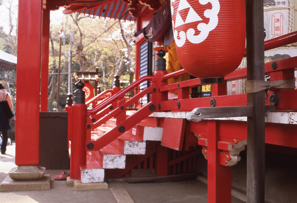 CONTAX Aria Distagon35_F1.4 AGFA_precisa
