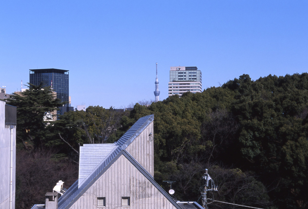 CONTAX RTS2 Planar50_F1.7 AGFA_Precisa10