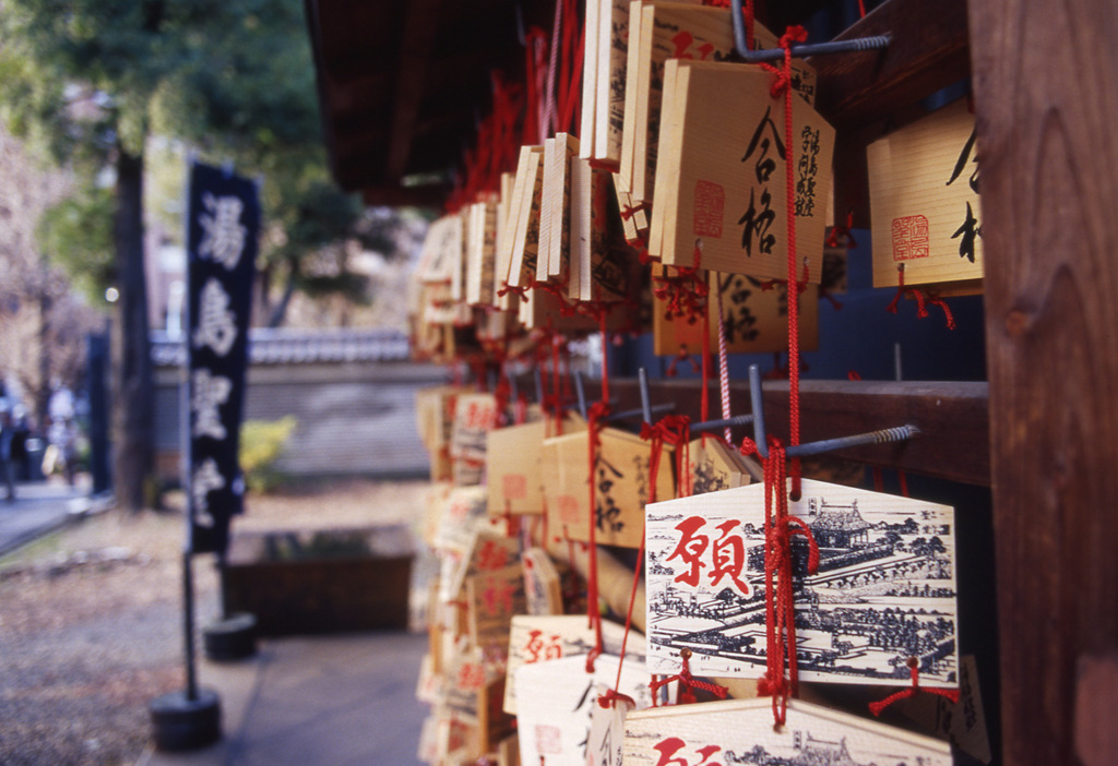 Aria Distagon28mm_F2.8 EKTACHROME100VS_i