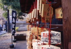 Aria Distagon28mm_F2.8 EKTACHROME100VS_i