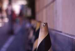 Aria Planar85mm_F1.4 ELITECHROME100_img8