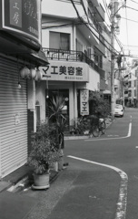 M3 Elmar50mm_F3.5 Rollei RPX400_img235