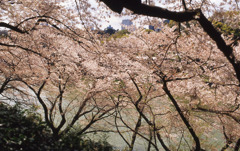 RTS2 Planar50_F1.4 EKTACHROME100VS_064