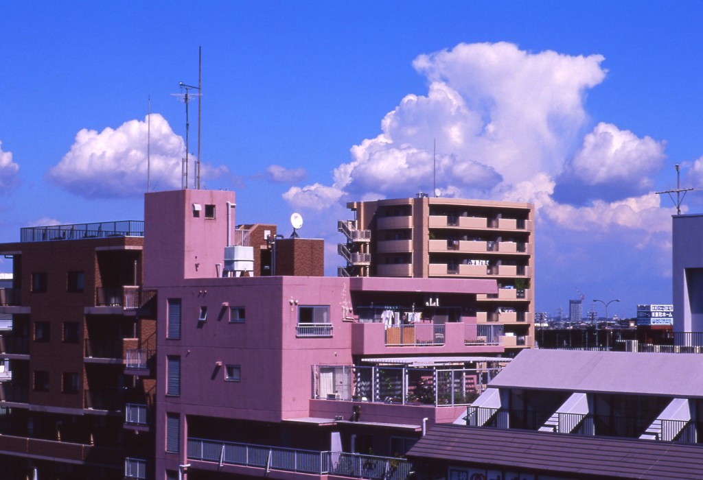 Aria Planar85mm_F1.4 ELITECHROME100_img8