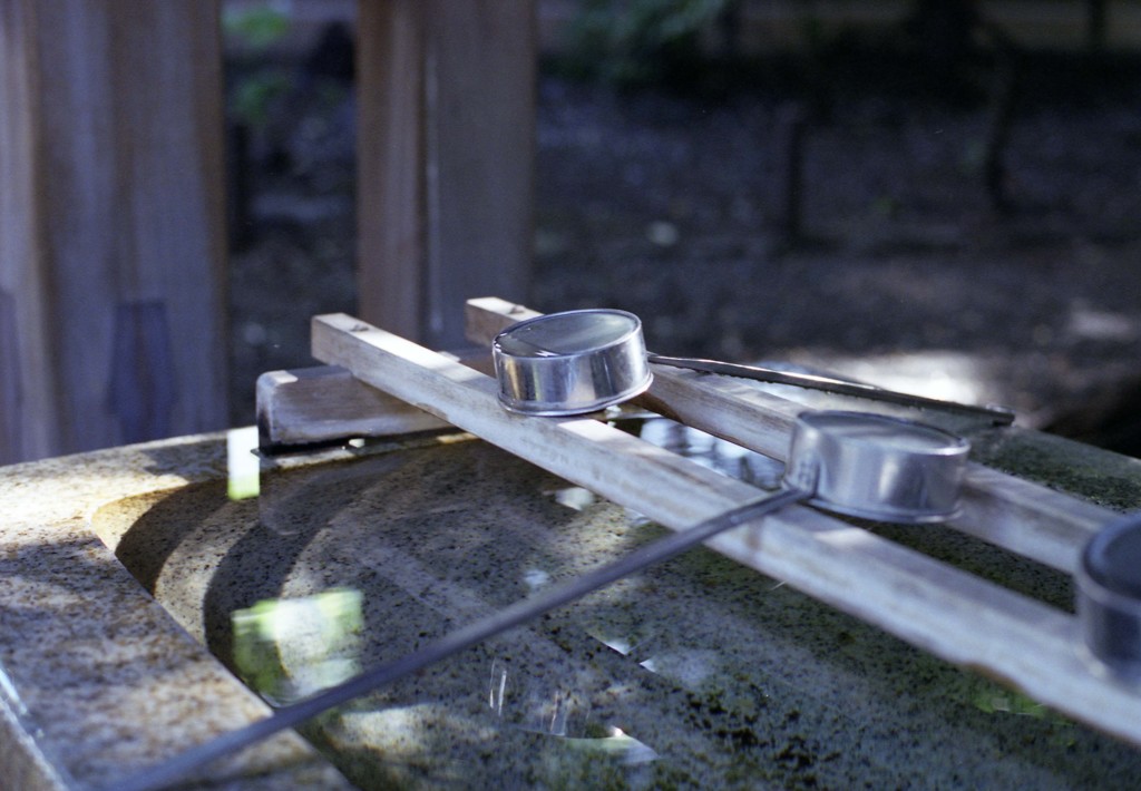 CONTAX_Aria Planar50mm_F1.4 FUJICOLOR_PR