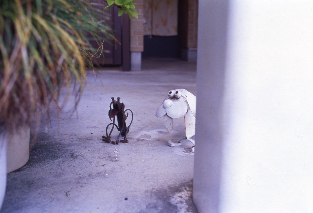 Aria Distagon35mm_F1.4 ELITECHROME100_im