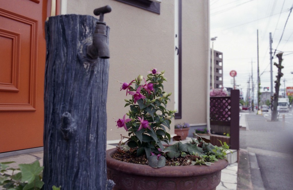 Aria Distagon28mm_F2.8 FUJI業務用100_img634