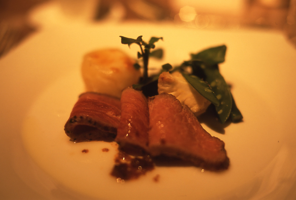 CONTAX Aria Distagon35_F1.4 AGFA_precisa