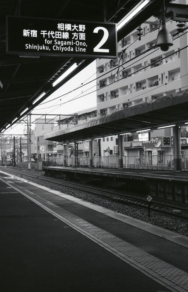 M3 Elmar50mm_F3.5 Rollei RPX400_img228