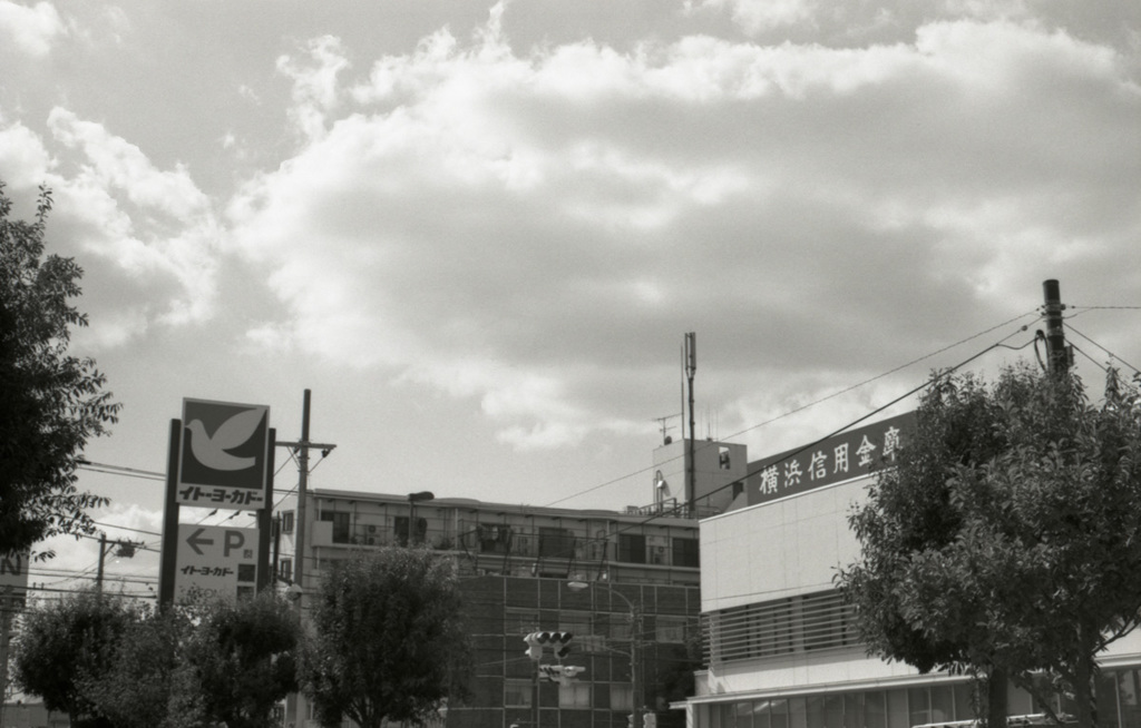 M3 DR Summicron50_F2  ADOX100_img101