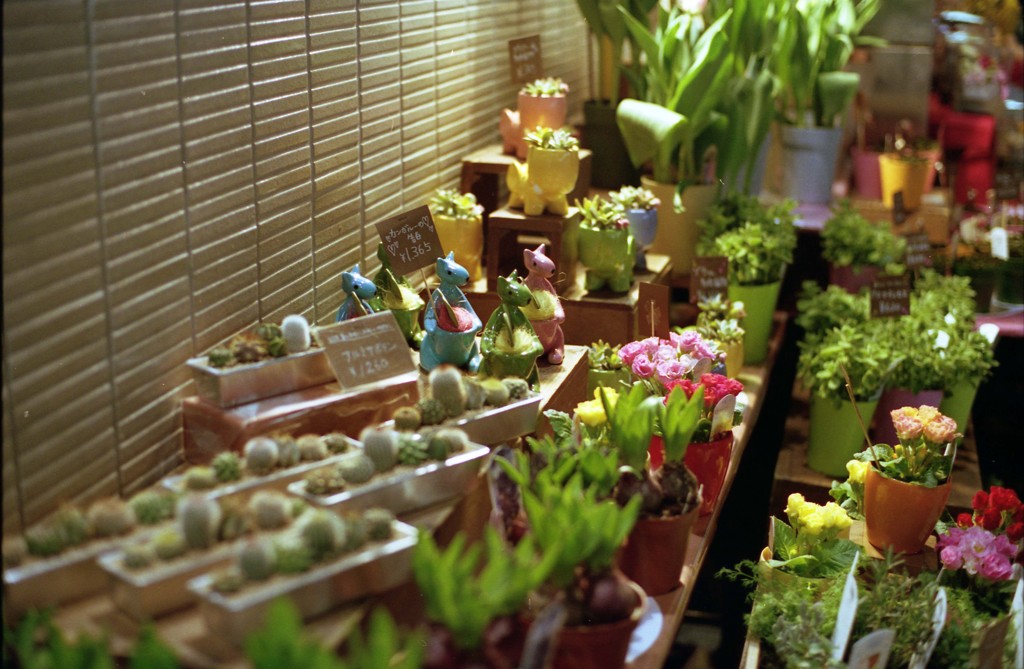 Aria Planar50mm_F1.4_PORTRA400_img213