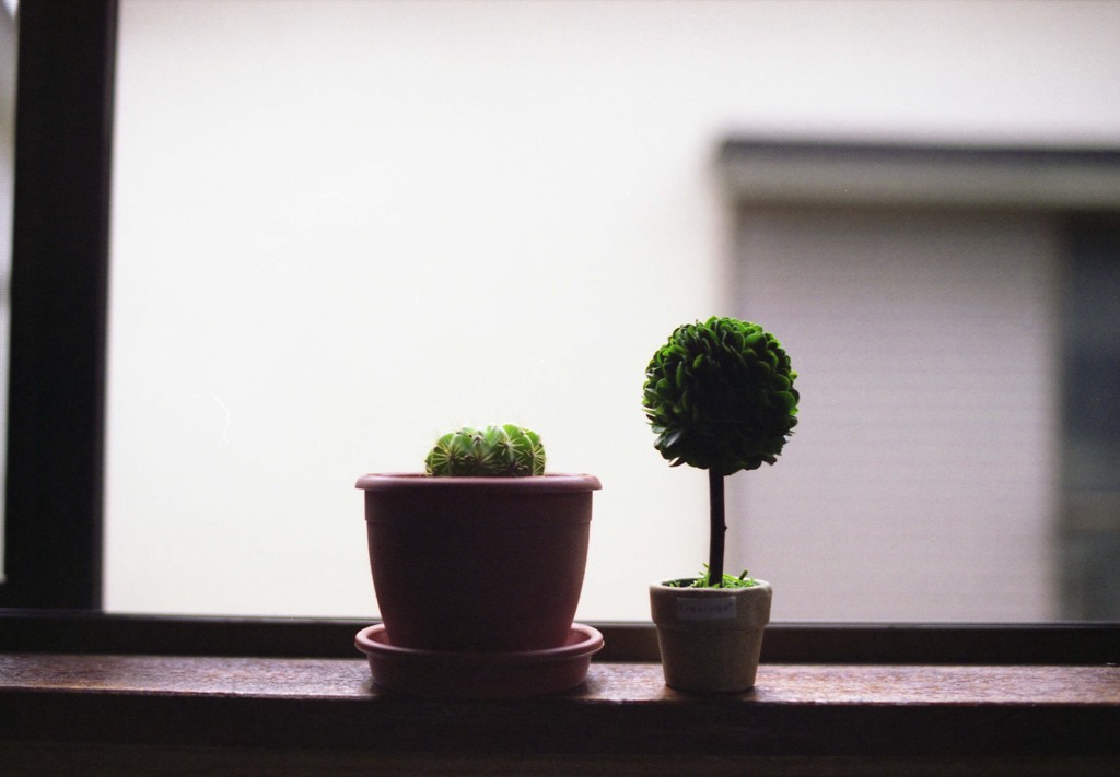 CONTAX_Aria Distagon35mm_F1.4 FUJI_PRO16