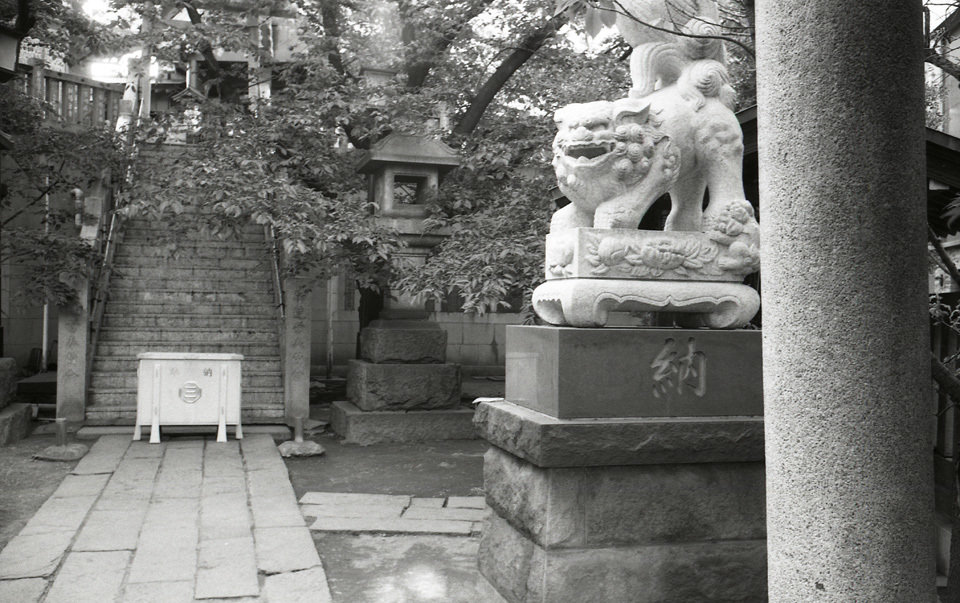 Ⅲf Summaron35mm F3.5 NEOPAN400_img615