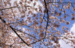 RTS2 Planar50_F1.4 EKTACHROME100VS_057