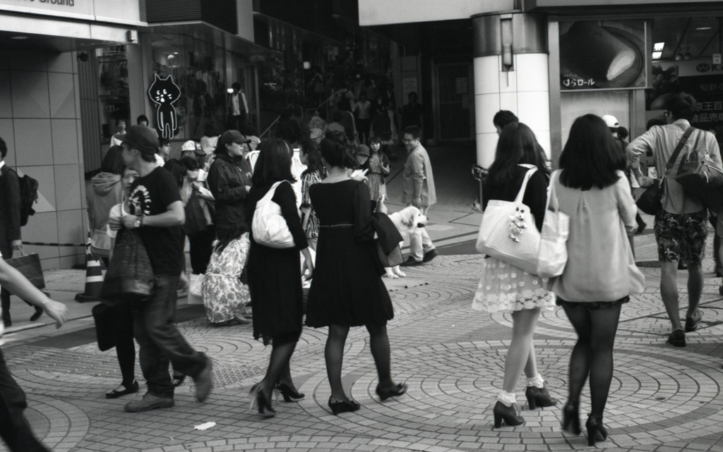 M3 DR Summicron50_F2  ADOX100_img129