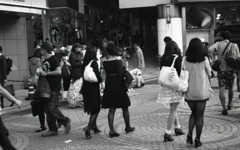 M3 DR Summicron50_F2  ADOX100_img129