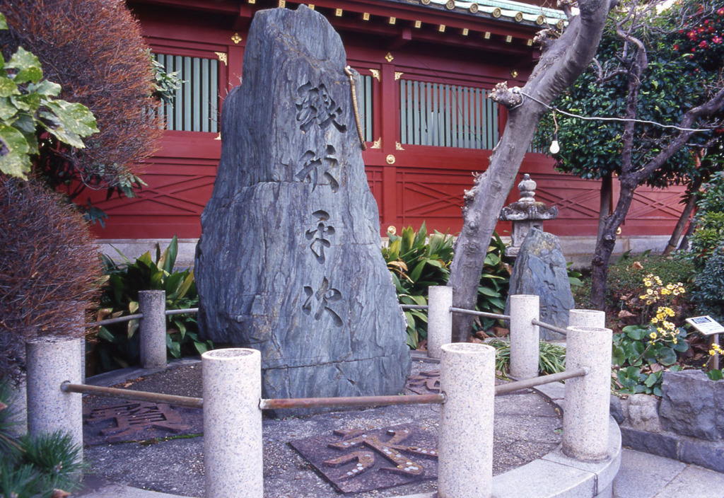Aria Distagon28mm_F2.8 EKTACHROME100VS_i