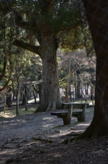 静寂