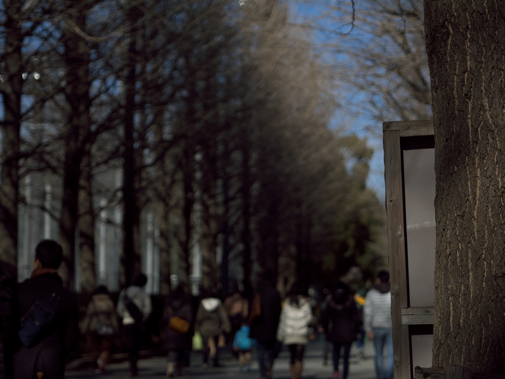 上野公園散歩３