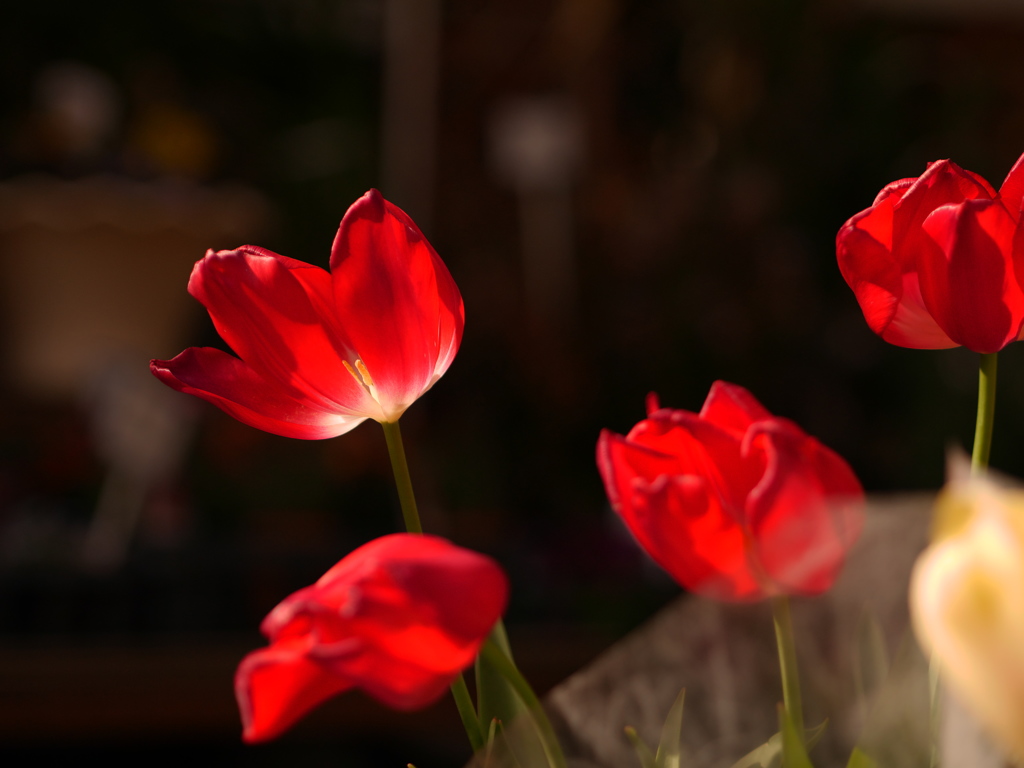 P1070350a