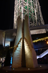 DSC00540