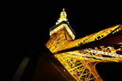 DSC00238a