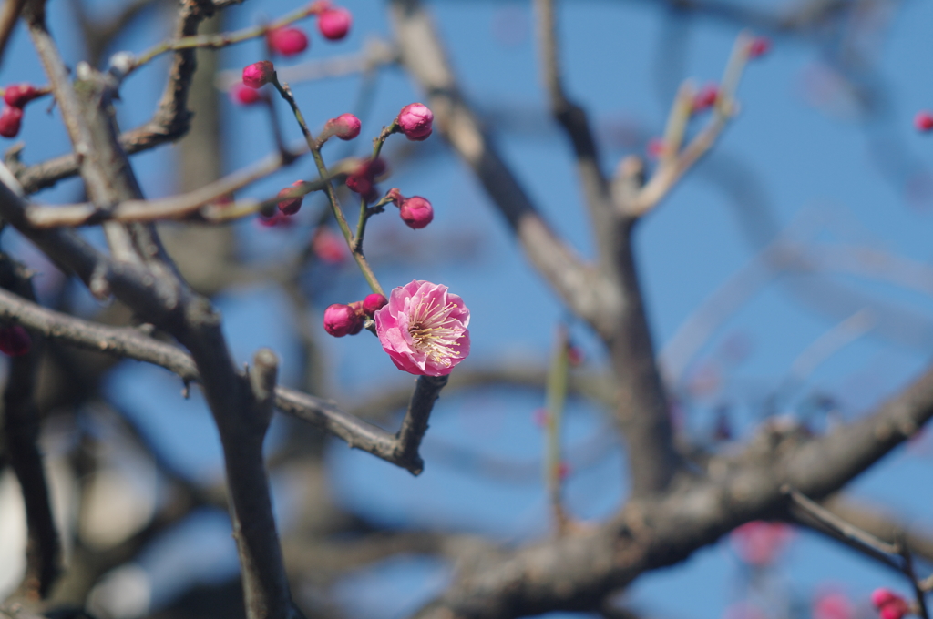 IMGP8824