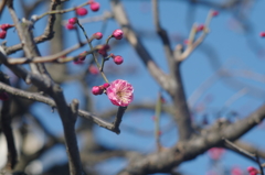 IMGP8824