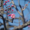 IMGP8824