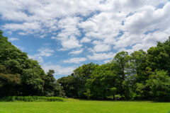 森林公園（7）