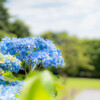 森林公園（6）