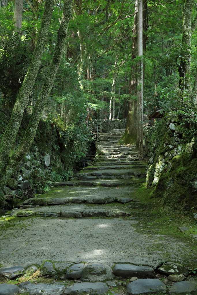 仏への路　高山寺