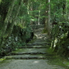 仏への路　高山寺