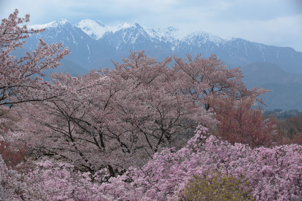 小川村03