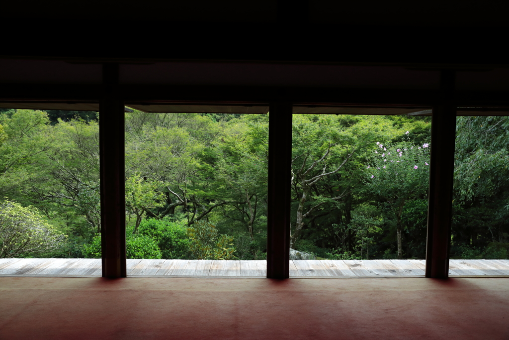 夏の高山寺2
