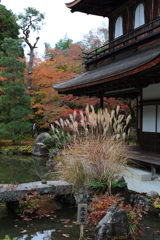 秋の慈照寺