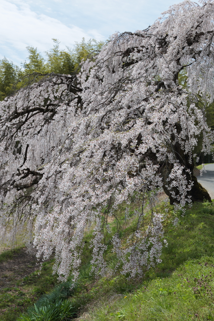 小川村01