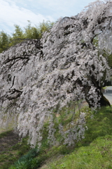 小川村01