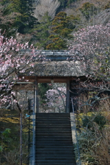 鎌倉東慶寺