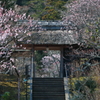 鎌倉東慶寺