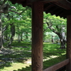 夏の東福寺通天橋