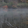 晩秋の池