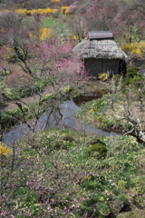 伊那梅苑02