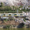 走る桜