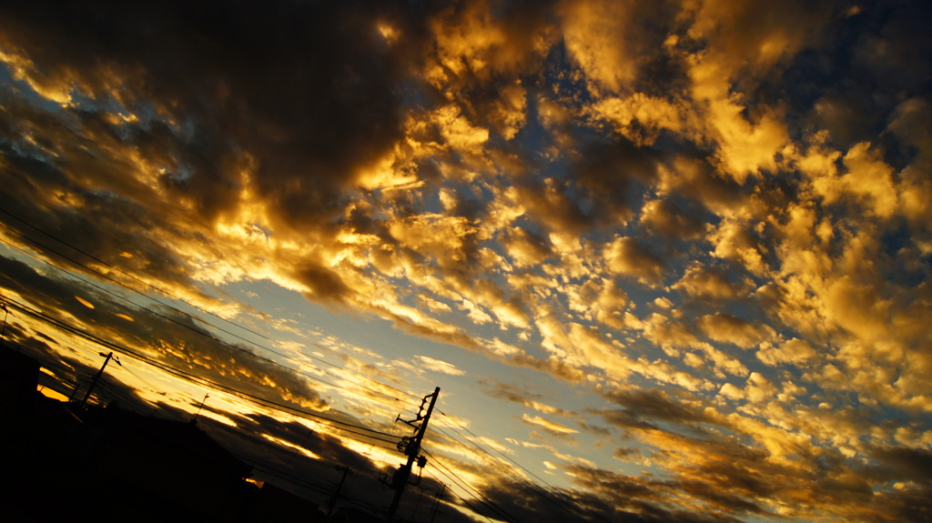 金斗雲