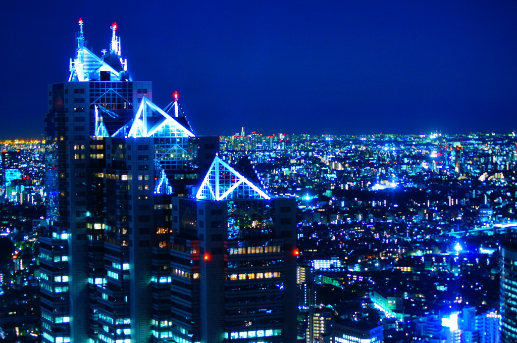 Blue Night Tokyo.