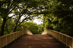 代々木公園への歩道橋