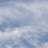 夏空飛行
